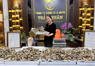 Nhung hươu thái lát sấy khô là gì? Công dụng & cách dùng hiệu quả