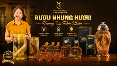 Rượu nhung hươu Hương Sơn: Công dụng, giá bán và sản phẩm nên mua