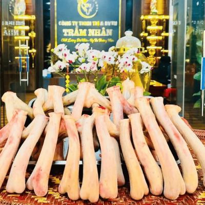 Nhung huơu tươi Hương Sơn - Bảng giá 2026