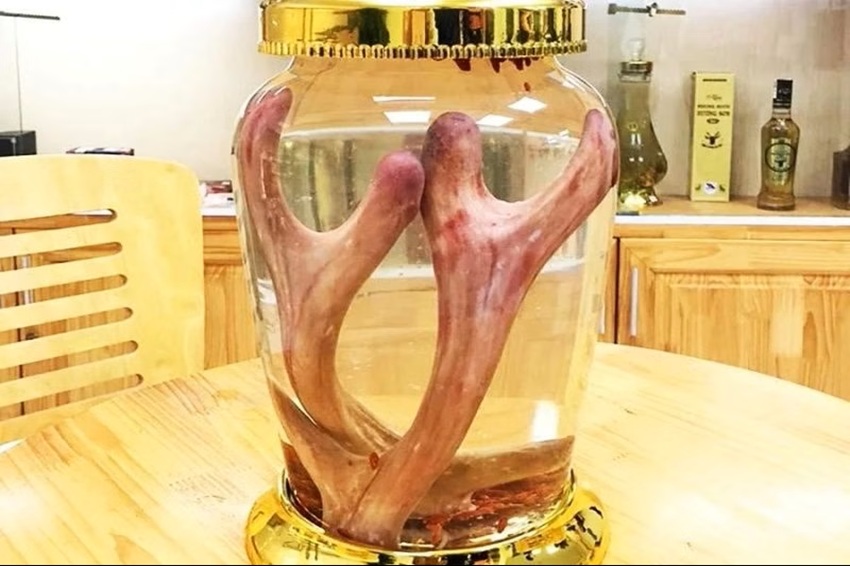 nen uong nhung huou vao luc nao trong ngay