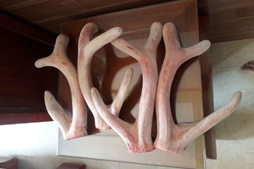 nhung huou huong son ha tinh