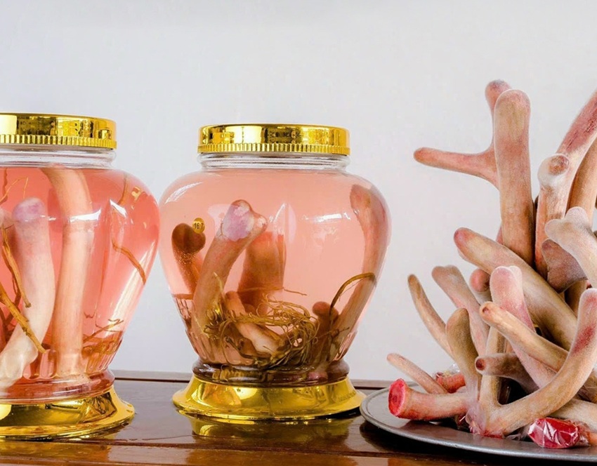 gac nhung huou la gi