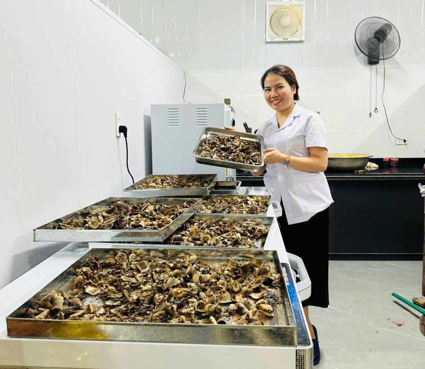 cach dung nhung huou kho