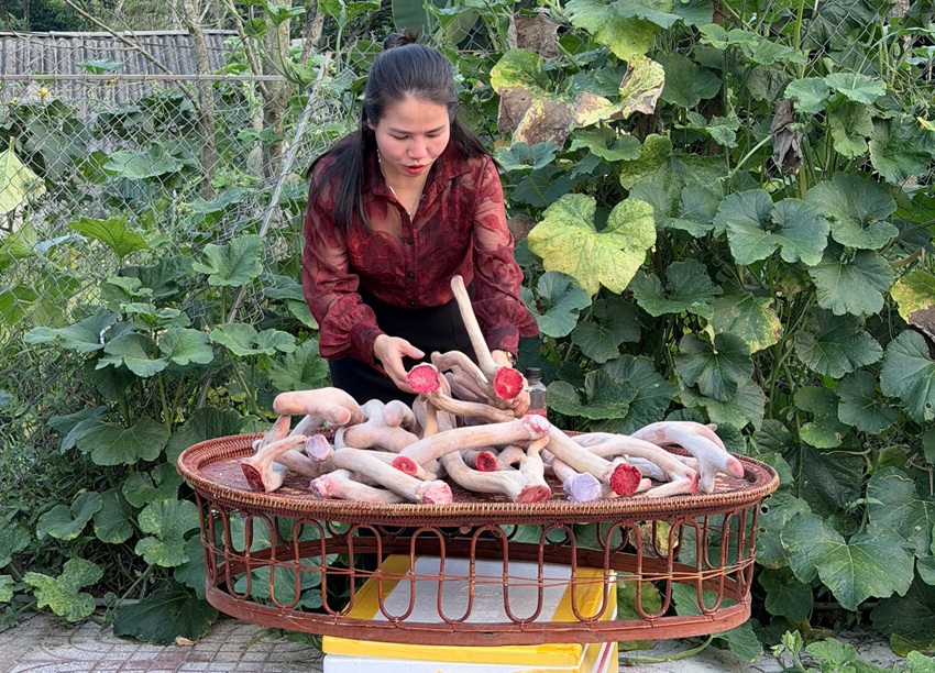 cao nhung huou huong son ha tinh