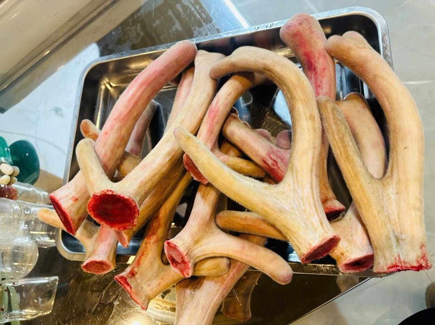 nhung huou gia bao nhieu 1kg