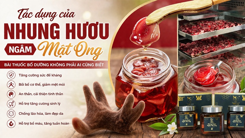 tac dung cua nhung huou ngam mat ong