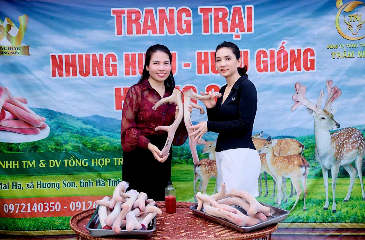 Hành trình nâng tầm đặc sản Hương Sơn từ tâm huyết của người phụ nữ Hà Tĩnh 10